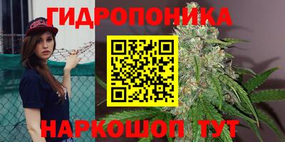 кокс Новокубанск