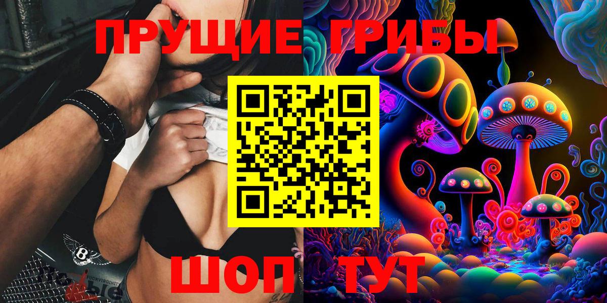 Псилоцибиновые грибы прущие грибы  Вход с VPN  Сосновый Бор  Галлюциногенные грибы MAGIC MUSHROOMS 